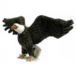 [HANSA] American Eagle(독수리2) 3834번/70cm.L