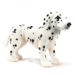 [HANSA] Dalmatian Puppy Stn(달마시안4) 4711번/34cm.L