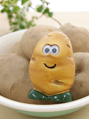 Mr.potato 브러쉬