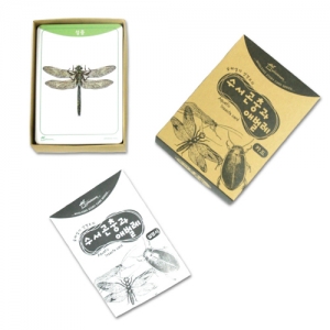 수서곤충과 애벌레 카드