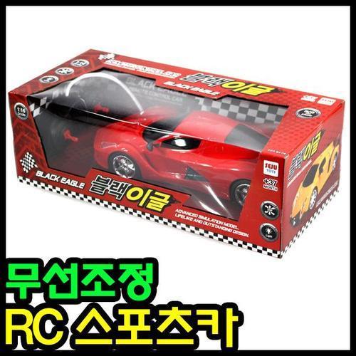 SJ-18000 블랙이글 무선조정카/미니카 rc카 레이싱카
