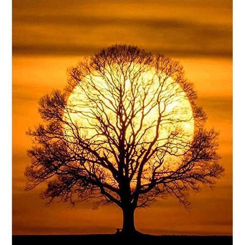아이윙스 피포페인팅 gx5942 sunset tree diy명화그리기 diy그림그리기