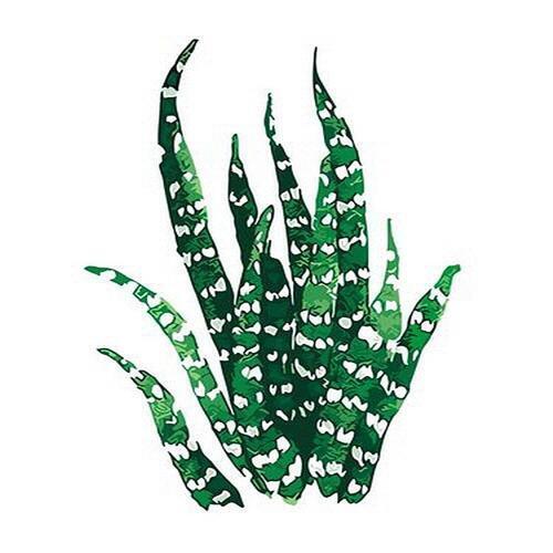 아이윙스 피포페인팅 q3080 보태니컬 잎 diy명화그리기 diy그림그리기