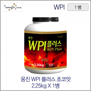 웅진 WPI 플러스(코코아맛) 2.25kg 1병