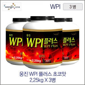웅진 WPI 플러스(코코아맛) 2.25kg 3병