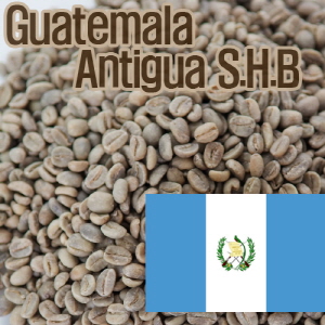 [생두]Guatemala Antigua S.H.B