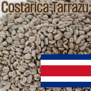 [생두]Costarica Tarrazu